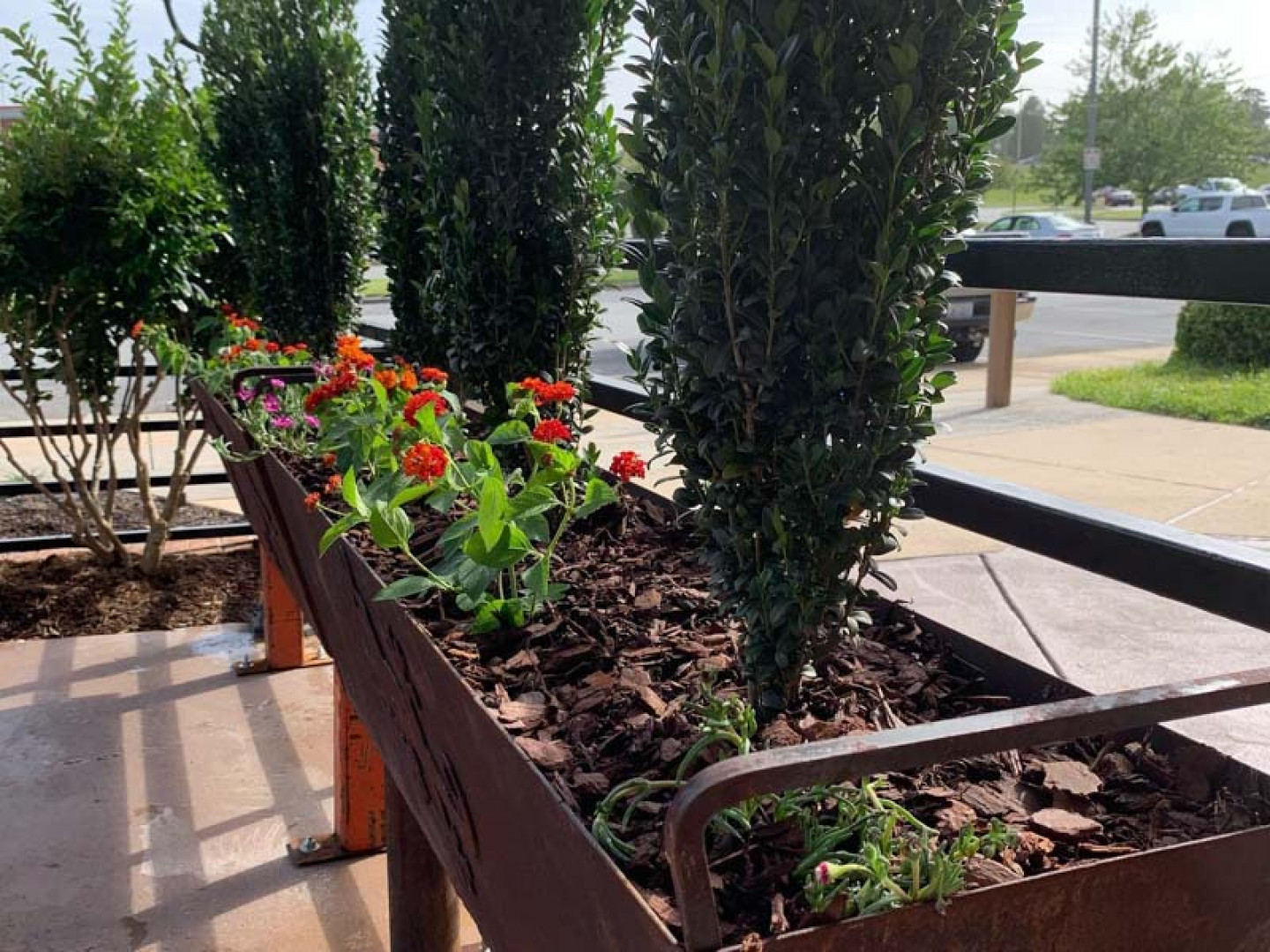 Container Garden Installation, Container Garden Maintenance